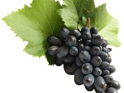 Масло Виноградной косточки Холодного отжима