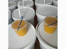 Мед Забродивший