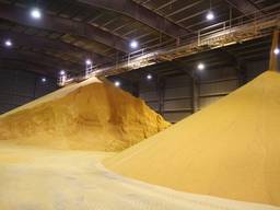 Механізований зерносклад, ангар, склад для зерна