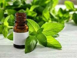 Ментол жидкий (Liguid Menthol DL) 1 кг