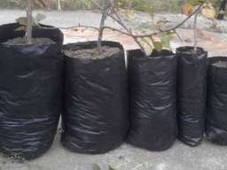 Мешки под рассаду, саженцы разных размеров