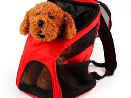 Международная перевозка животных