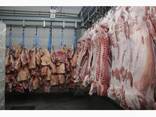 М'ясо оптом від виробника. Напівтуші свинні, елементи та субпродукти