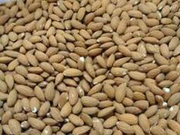 Мигдаль Каліфорнійський (опт та роздріб)