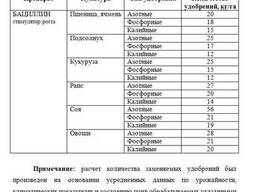 Микробиологическое удобрение "Бациллин"