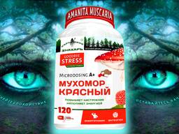 Микродозинг Красного Мухомора в капсулах 〉Купить в Украине гриб энтеоген Amanita Muscaria