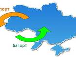 Міжнародна торгівля ЕКСПОРТ - ІМПОРТ Україна-Польща-Німеччина - фото 1