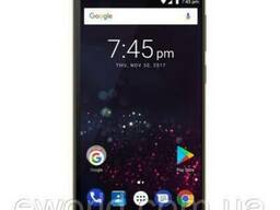 Мобильный телефон Assistant AS-503 Gold (873293011653)