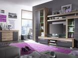 Вітальня. Frost Модульні вітальні. Стінки для вітальні Frost - фото 3