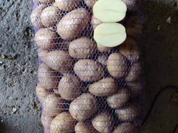 Продаём украинский картофель.