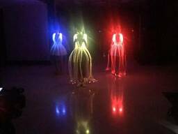 Moon Light Шоу светящихся балерин