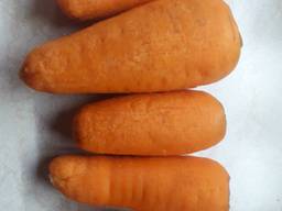 Морковь чищенная 2 сорт. Морква