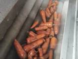 Мойка для моркови, картофеля, свеклы