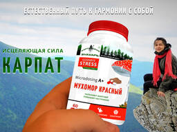 Мухомор Красный 〉Купите лучший Микродозинг в Киеве, грибной порошок 60 капсул Фунготерапия