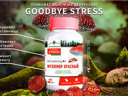 Мухоморный микродозинг 〉Купите красные шляпки от Стресса, порошок в капсулах по 500 мг