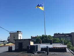 Мягкая