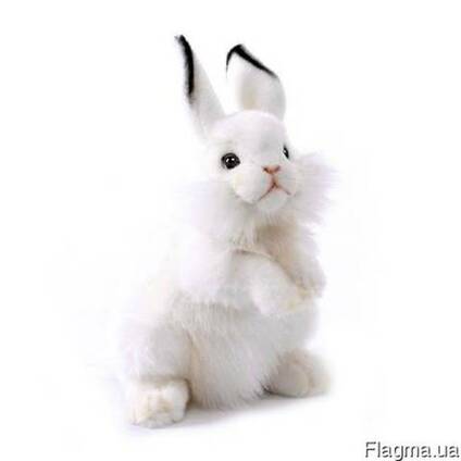 Myagkie Igrushki Avokado Ogromnaya Semya