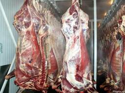 М'ясо яловичини I категорії, охолоджене. Субпродукти яловичі, I-ї та II-ї категорії..