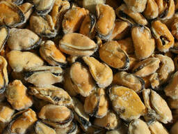 Мясо мидий черноморских