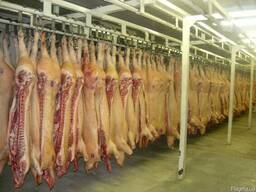 Мясо оптом и крупным оптом