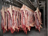 Мясо свинины Одесса цена