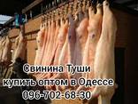 Мясо свинины Одесса стоимость - фото 1