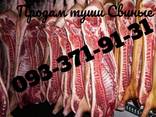 Мясо Туши Свинина Одесса - фото 3