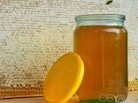 Мёд, натуральный, целебный, пасека, недорого, мед, бджоли