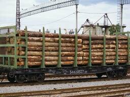 Надаємо послуги по відправці та приймання лісоматеріалів за