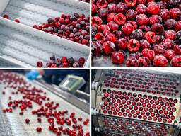 Надання послуг по видаленню кістки з вишні