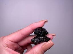 Найменші водяні черепашки у світі, маленька черепаха