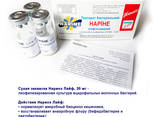 Наринэ 30мг Биофарма. Наріне, Нарине, бифидо-бактерии, лакто ОПТ - фото 2