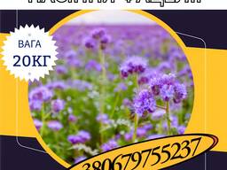 Насіння Фацелії (20кг)