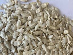 Насіння гарбуза органічне (сорт Турка)