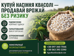 Насіння квасолі білої з гарантією викупу врожаю