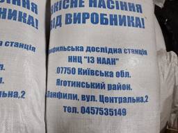 Насіння Люпину Локомотив