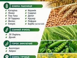 Насіння озимої пшениці, озимого ячменю, зимуючого гороху, озимої гірчиці