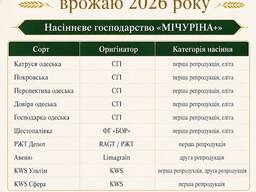 Насіння озимої пшениці врожаю 2026 року від виробника