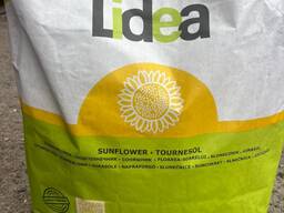 Насіння соняшника. Сорт: ЕС Савана (Hybride Simple)