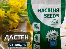 Насіння Ярого Ріпаку Дастен