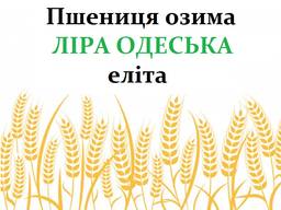 Насіння озимої пшениці Ліра Одеська еліта