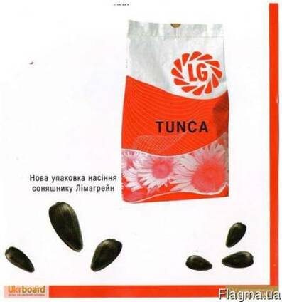 Насіння соняшнику Тунка