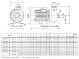 Насос для мытья овощей, фруктов, мяса, рыбы BK150D, 1,1kW, AISI304, 220V/50Hz, 2900 с. .. - фото 2