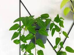 Настінна підставка для квітів на три горщики Orizon Craft 50х80 чорна