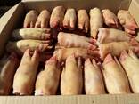 Ноги свиные Pork Feet - фото 1