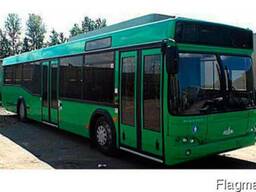 Новый пригородный автобус МАЗ 103564