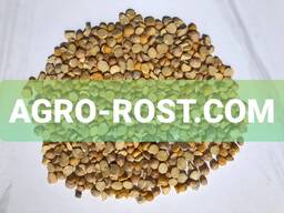 Нут половинки