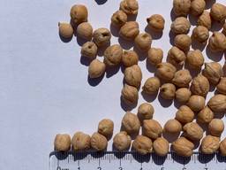 Нут товарный