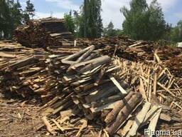 Обаполи хвойної породи