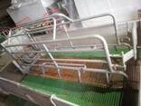 Обладнання для свинарства - фото 3